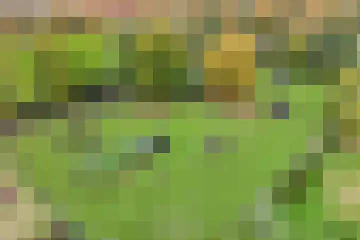Hoofdstraat 10 Zweeloo thumbnail 32