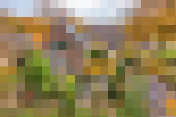 Hoofdstraat 10 Zweeloo thumbnail 33