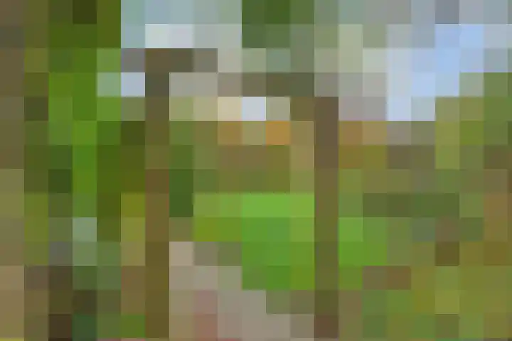 Hoofdstraat 10 Zweeloo thumbnail 34