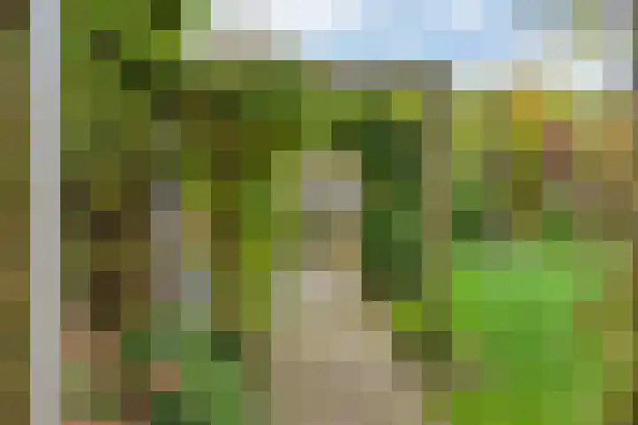 Hoofdstraat 10 Zweeloo thumbnail 35