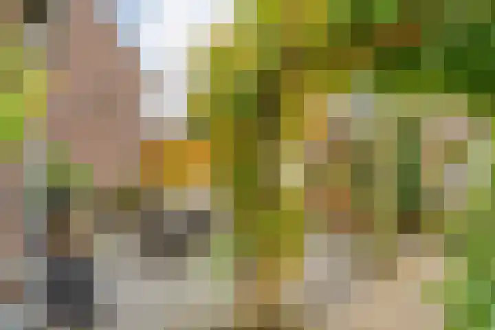 Hoofdstraat 10 Zweeloo thumbnail 36