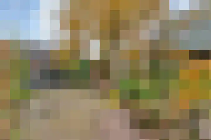 Hoofdstraat 10 Zweeloo thumbnail 37