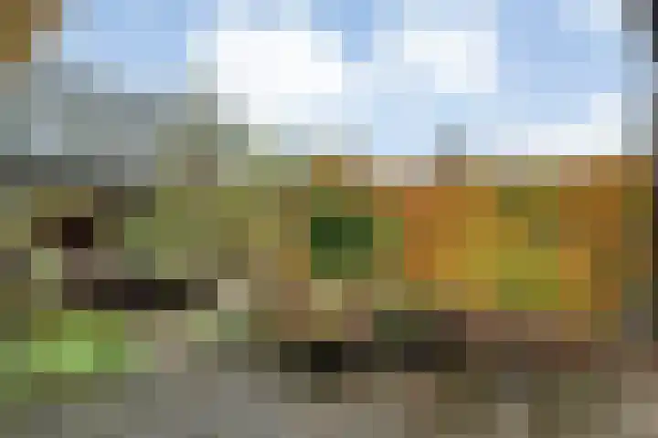 Hoofdstraat 10 Zweeloo thumbnail 39