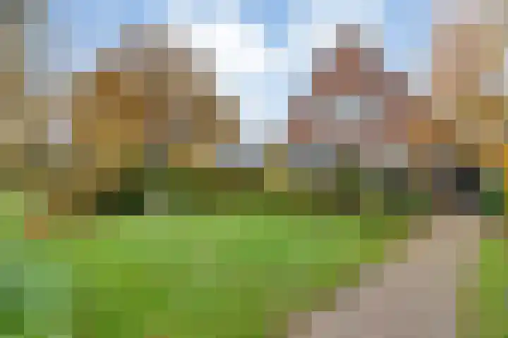 Hoofdstraat 10 Zweeloo thumbnail 4