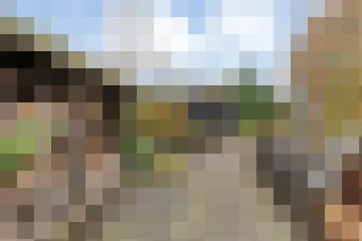 Hoofdstraat 10 Zweeloo thumbnail 41