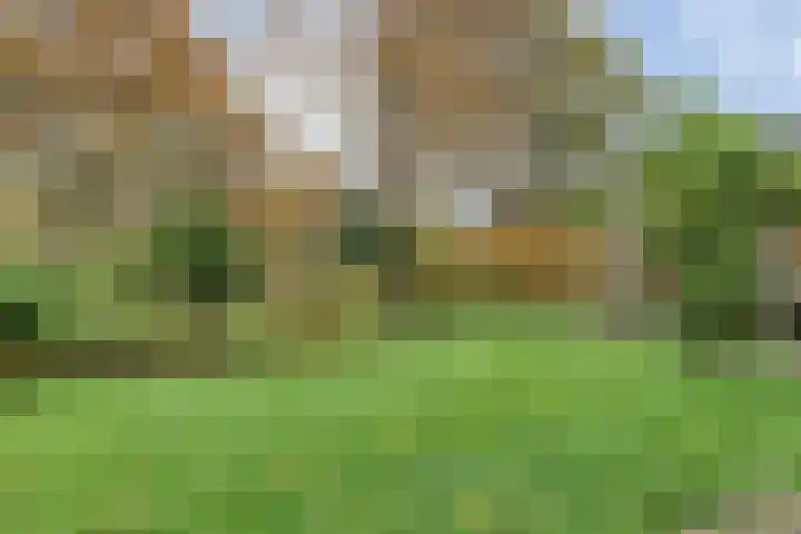 Hoofdstraat 10 Zweeloo thumbnail 43