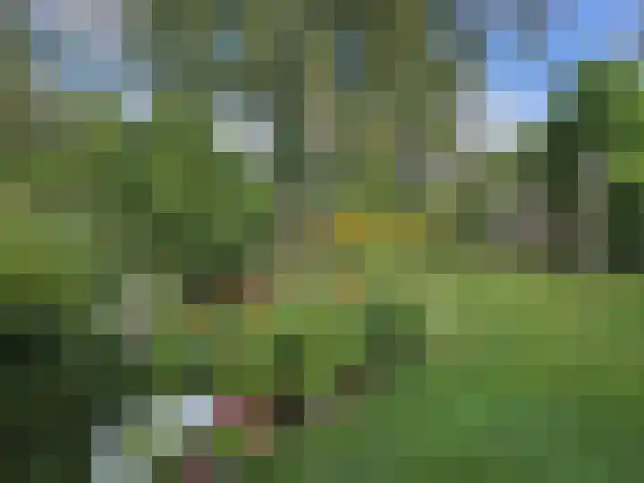 Hoofdstraat 10 Zweeloo thumbnail 44