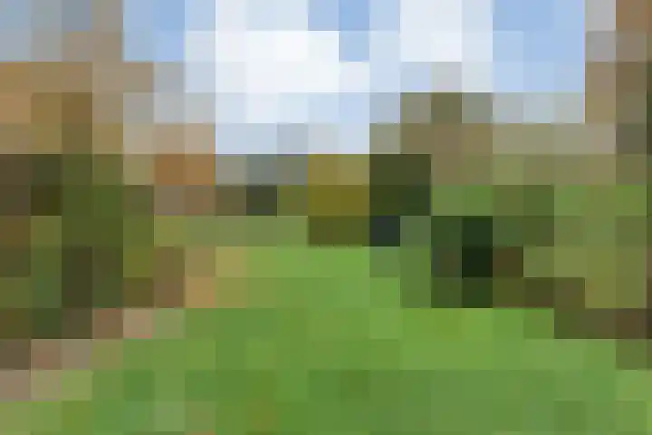 Hoofdstraat 10 Zweeloo thumbnail 45