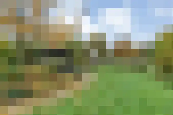 Hoofdstraat 10 Zweeloo thumbnail 47