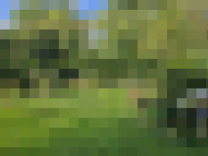 Hoofdstraat 10 Zweeloo thumbnail 49