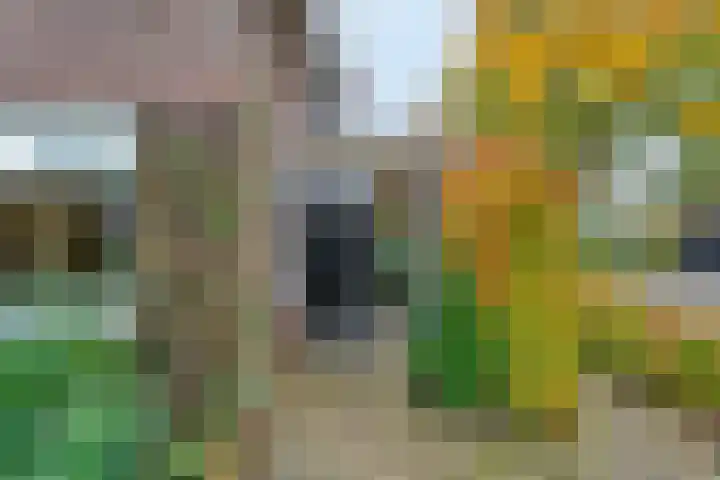 Hoofdstraat 10 Zweeloo thumbnail 5