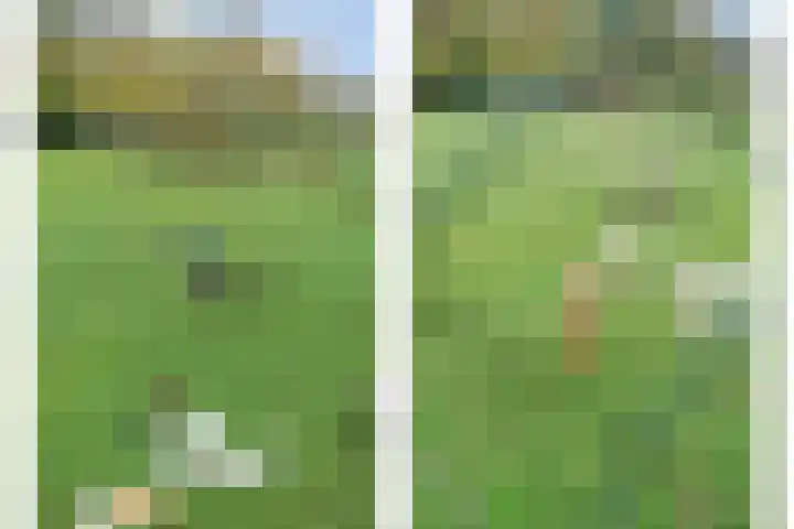 Hoofdstraat 10 Zweeloo thumbnail 50