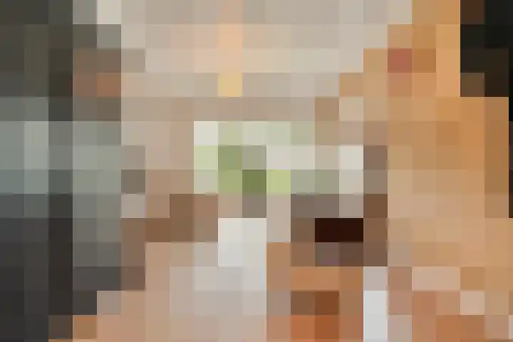 Hoofdstraat 10 Zweeloo thumbnail 6