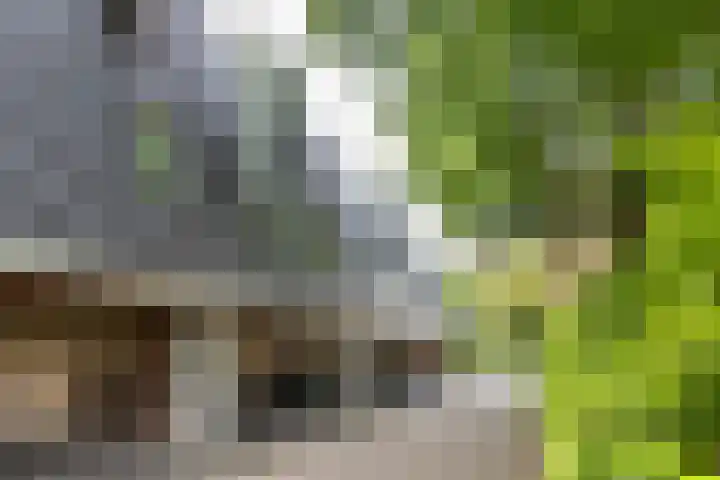 Hoofdstraat 100 Driebergen-Rijsenburg thumbnail 26