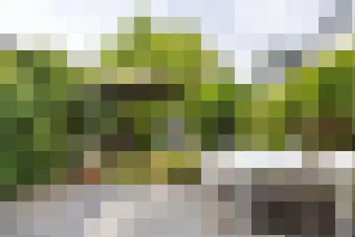 Hoofdstraat 100 Driebergen-Rijsenburg thumbnail 6