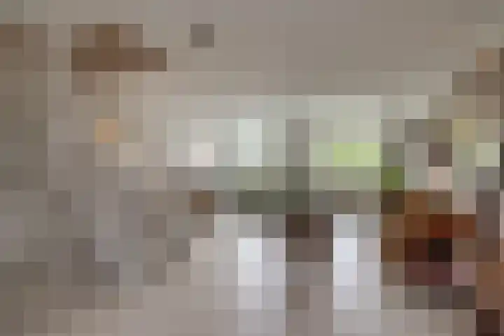 Hoofdstraat 100 Driebergen-Rijsenburg thumbnail 8