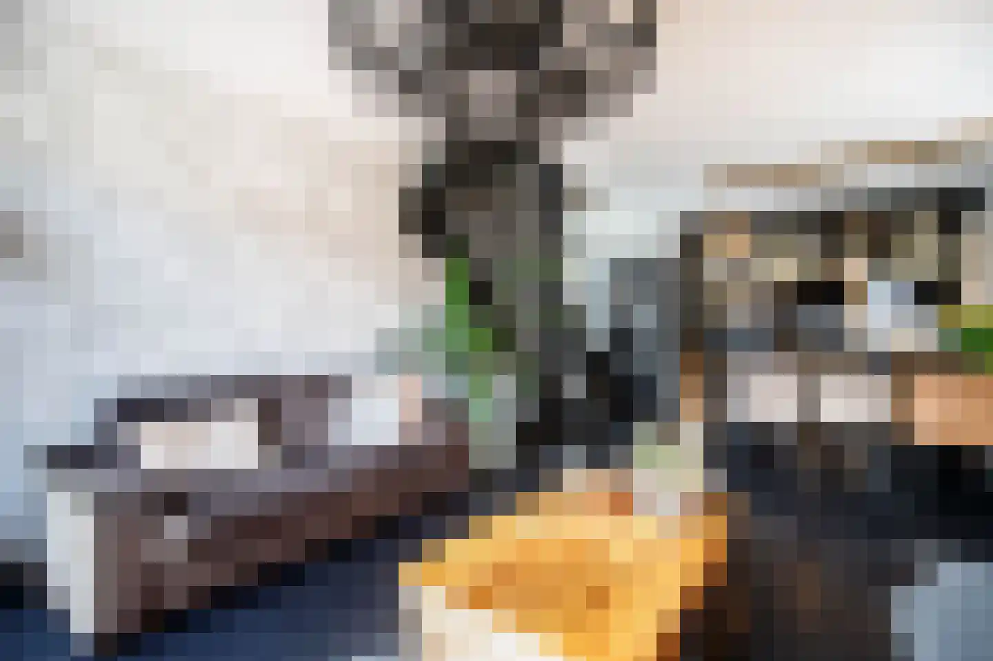Hoofdstraat 100 Krimpen aan de Lek thumbnail 12