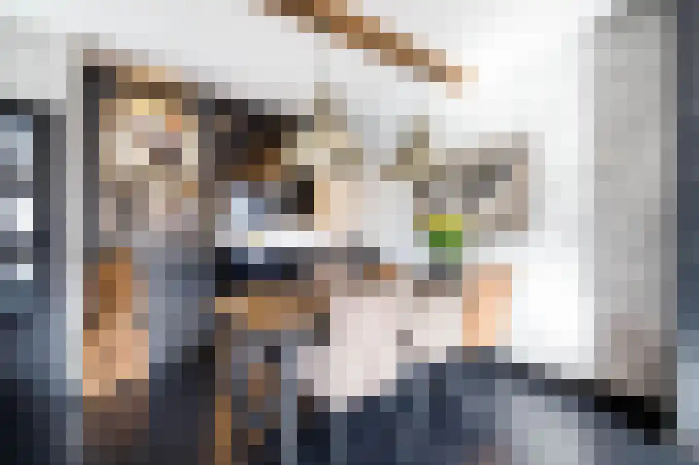 Hoofdstraat 100 Krimpen aan de Lek thumbnail 13