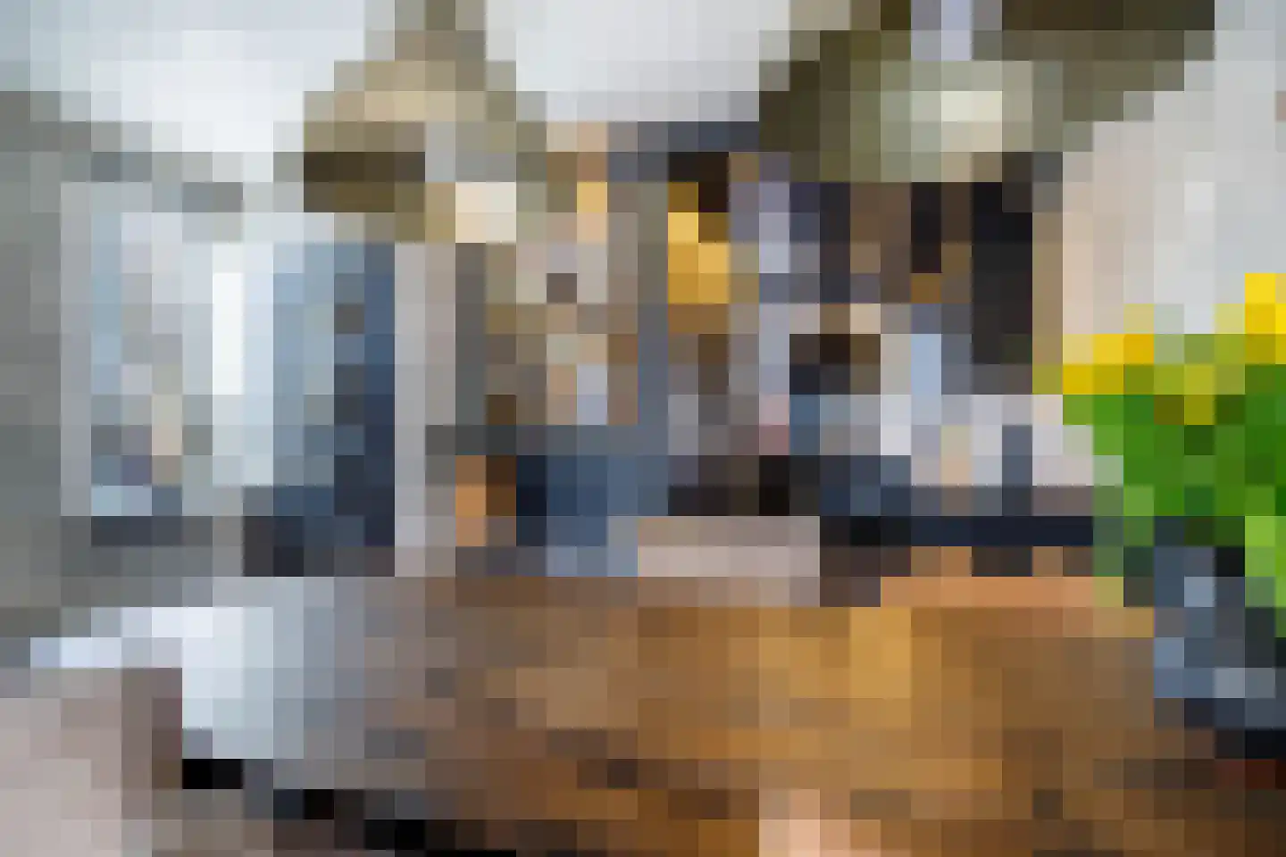 Hoofdstraat 100 Krimpen aan de Lek thumbnail 14