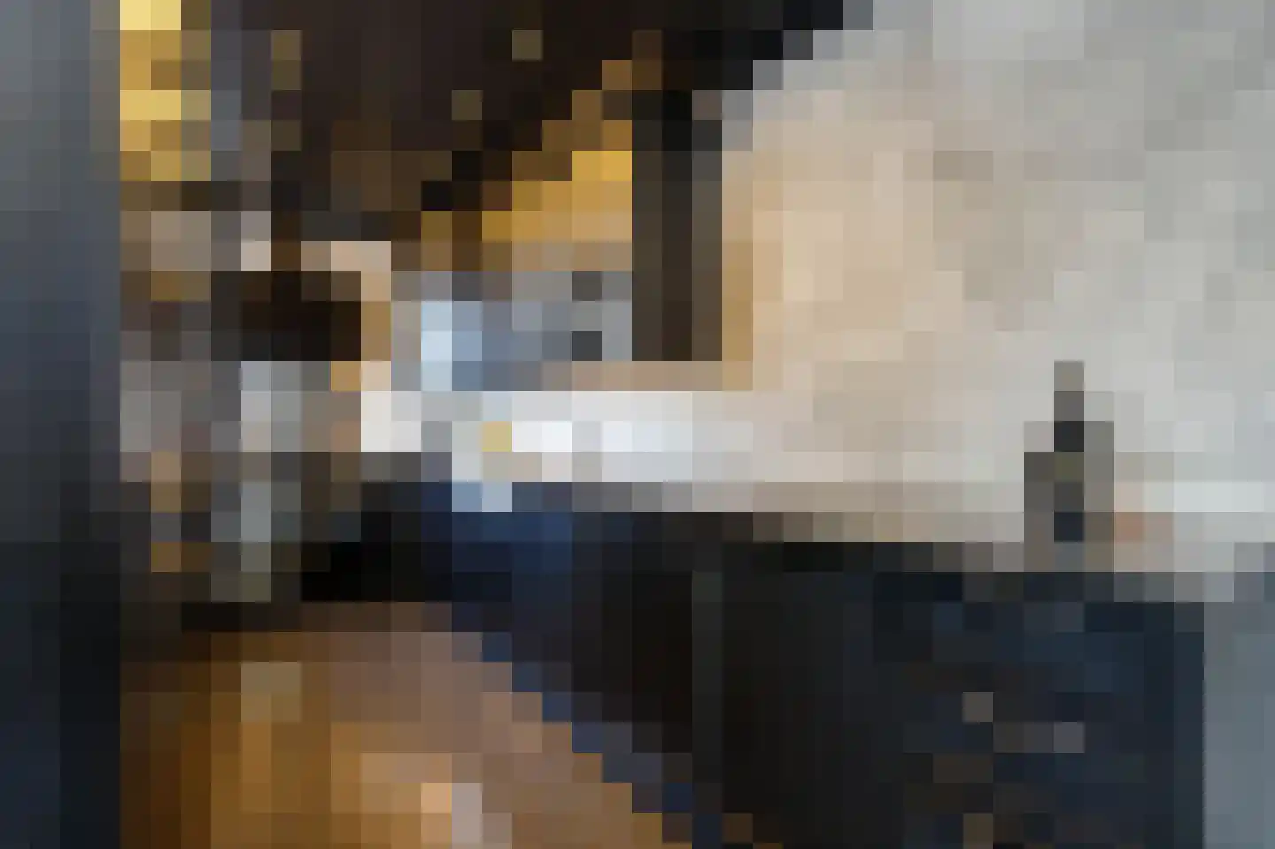 Hoofdstraat 100 Krimpen aan de Lek thumbnail 15