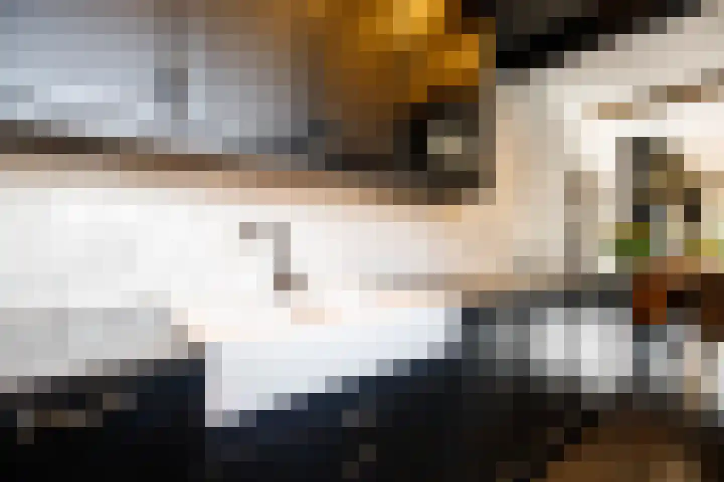 Hoofdstraat 100 Krimpen aan de Lek thumbnail 17