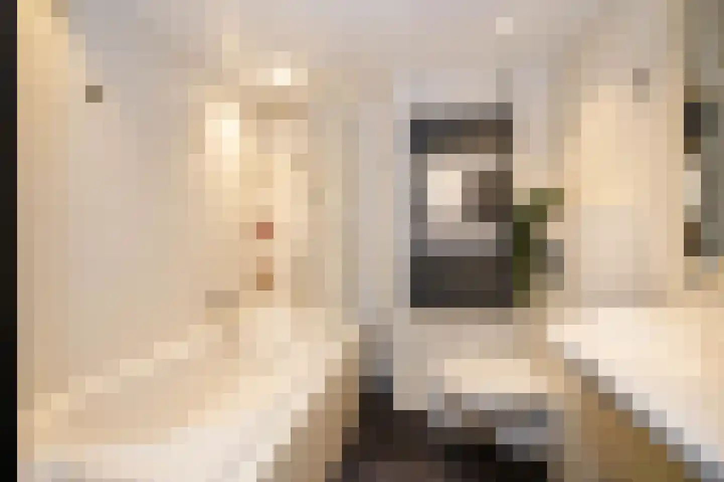 Hoofdstraat 100 Krimpen aan de Lek thumbnail 22