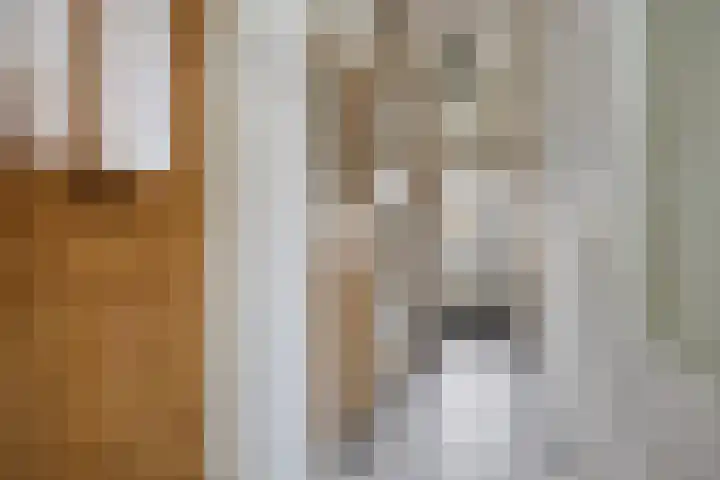 Hoofdstraat 100 Leiderdorp thumbnail 8