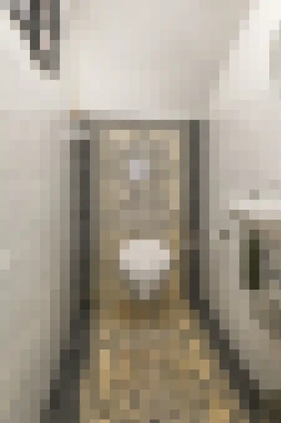 Hoofdstraat 101 Santpoort-Noord thumbnail 40