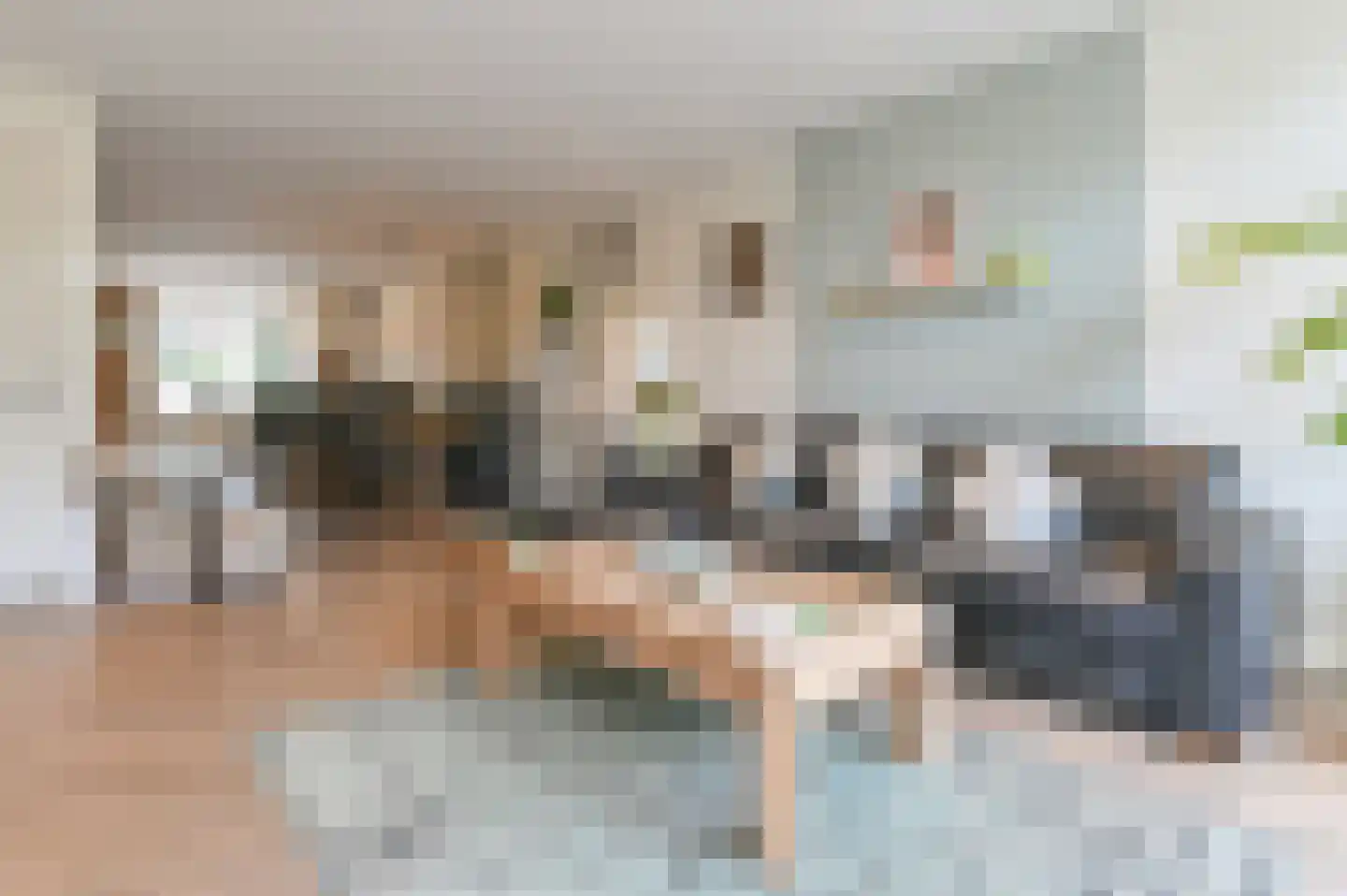 Hoofdstraat 101 Santpoort-Noord thumbnail 8
