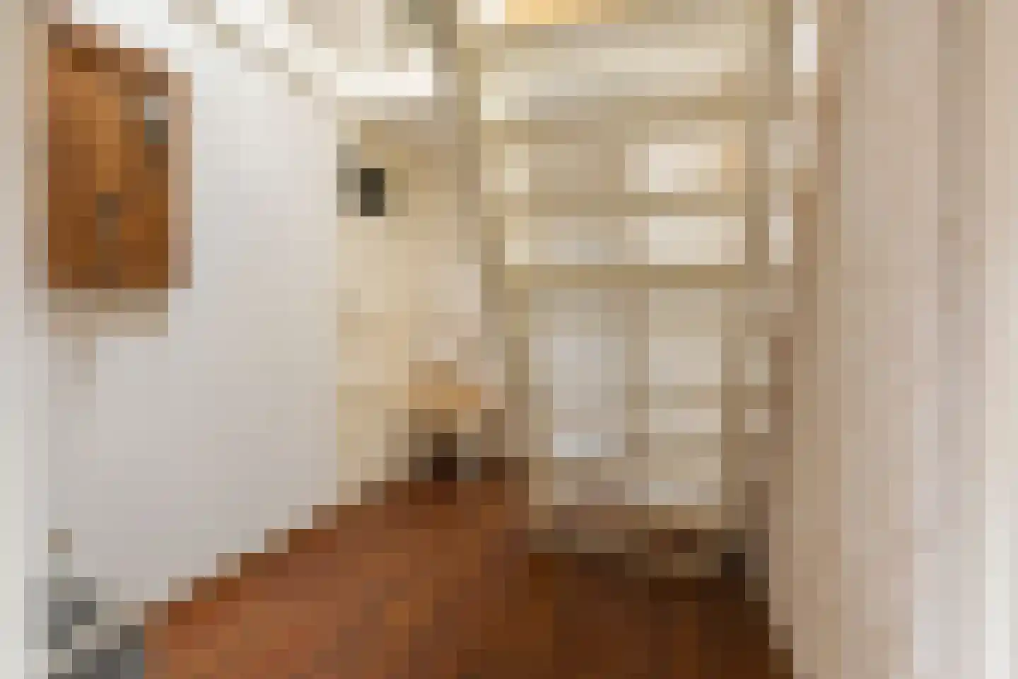 Hoofdstraat 102 Beerta thumbnail 16