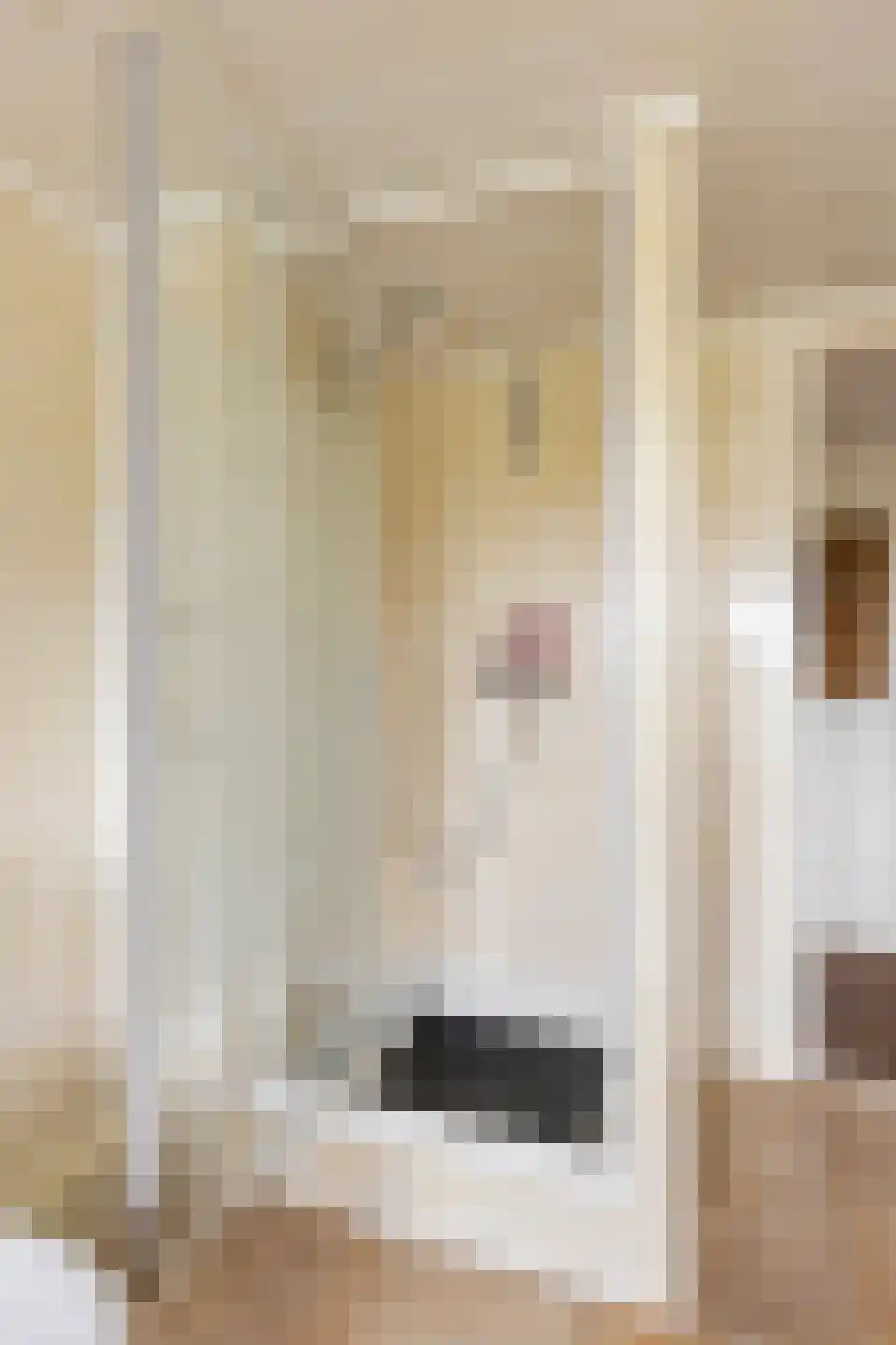 Hoofdstraat 102 Beerta thumbnail 21