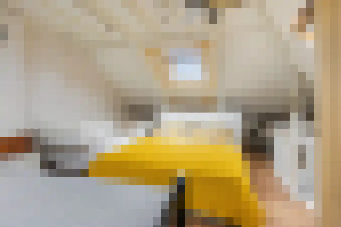 Hoofdstraat 102 Beerta thumbnail 25