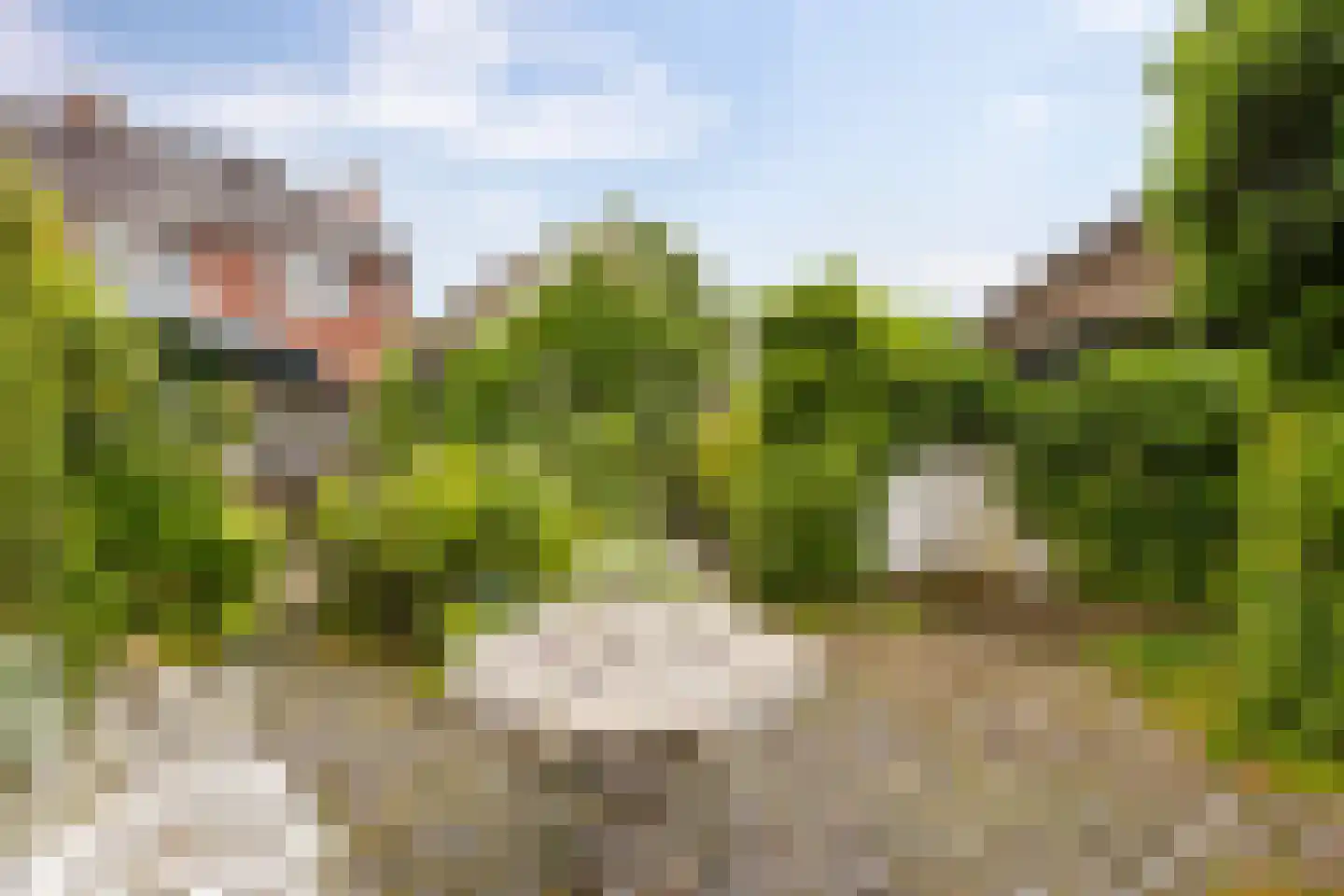 Hoofdstraat 102 Beerta thumbnail 30