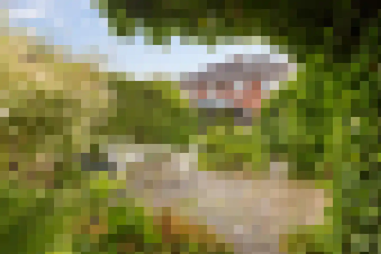 Hoofdstraat 102 Beerta thumbnail 31
