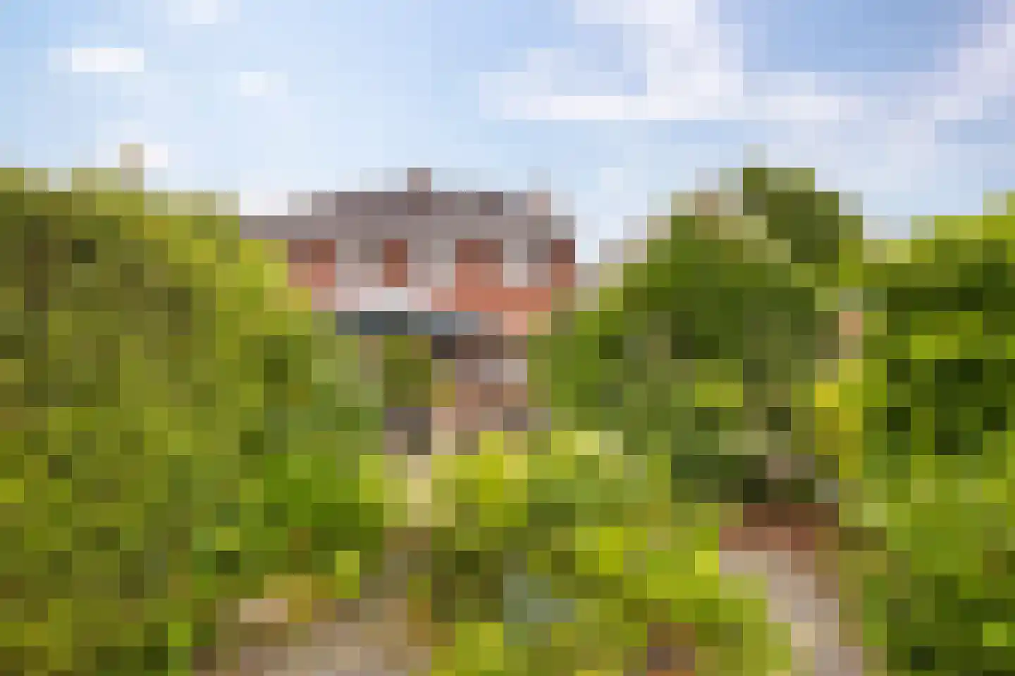 Hoofdstraat 102 Beerta thumbnail 32