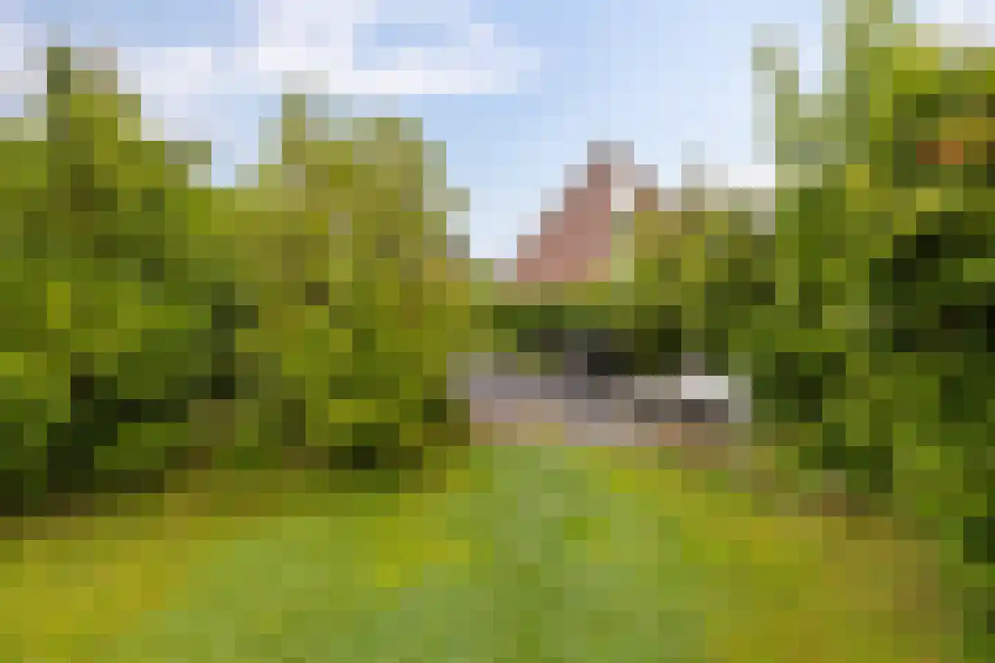 Hoofdstraat 102 Beerta thumbnail 35