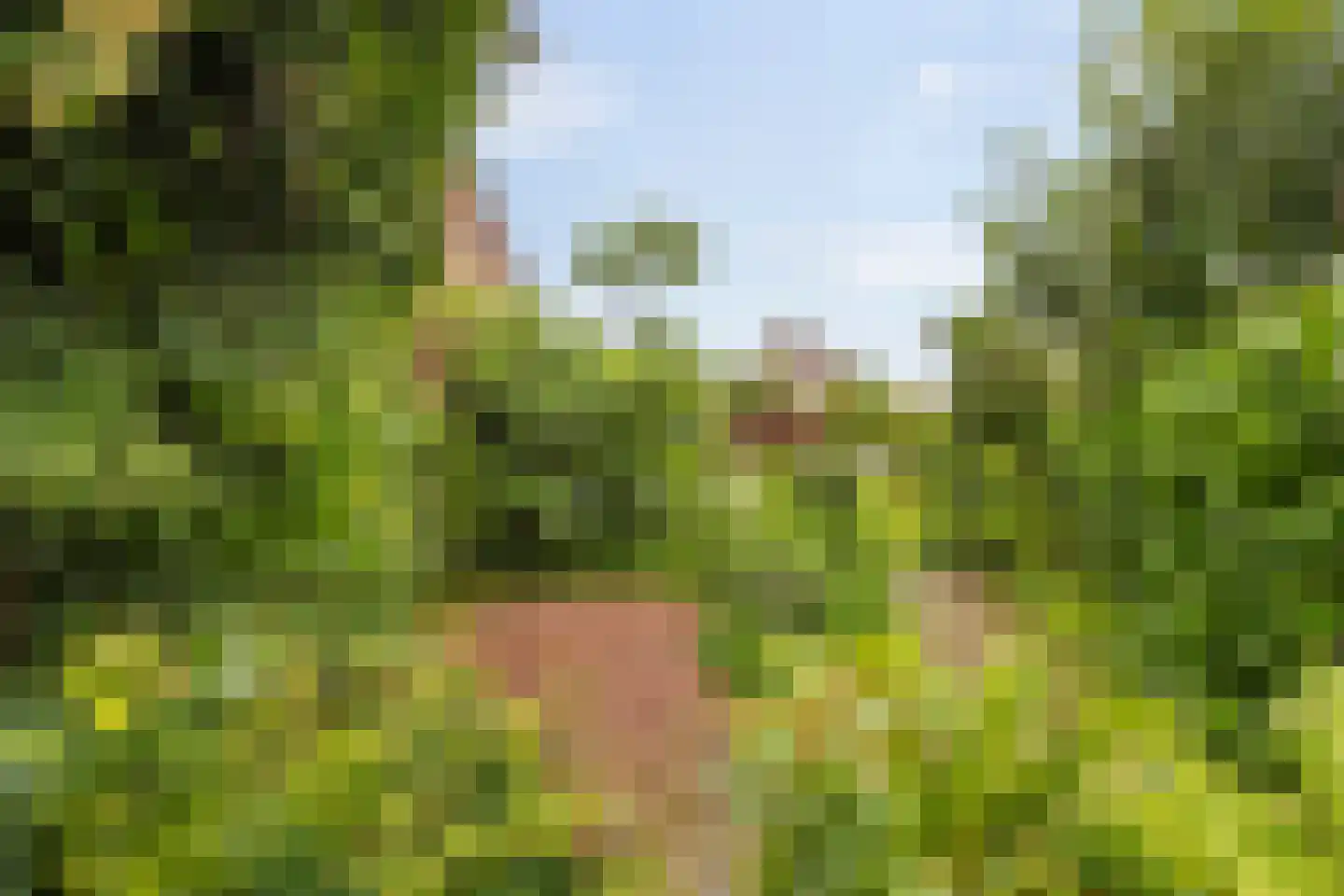 Hoofdstraat 102 Beerta thumbnail 37
