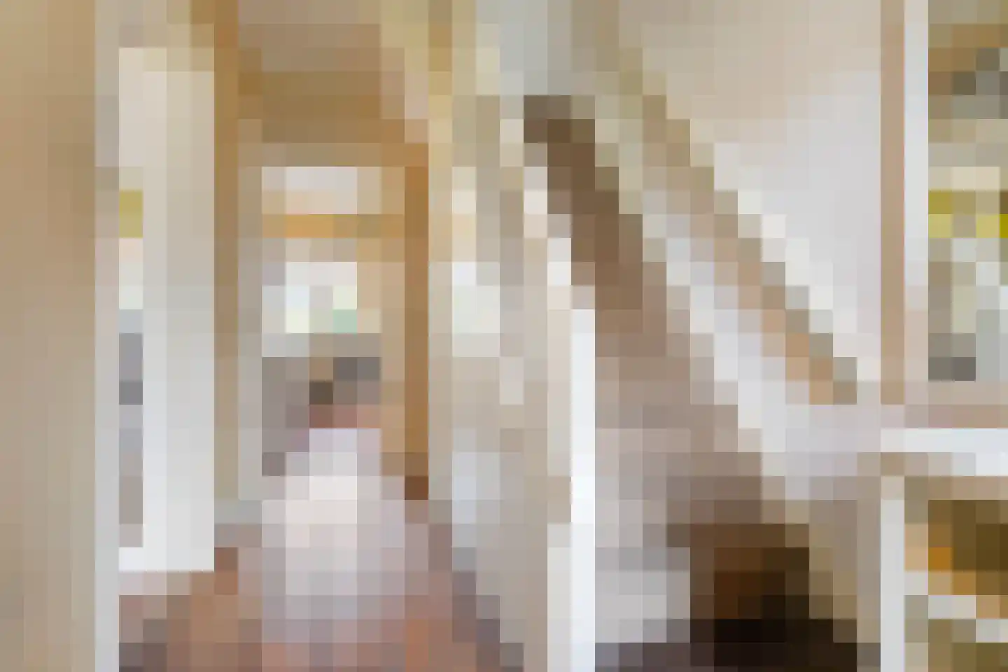 Hoofdstraat 102 Beerta thumbnail 4