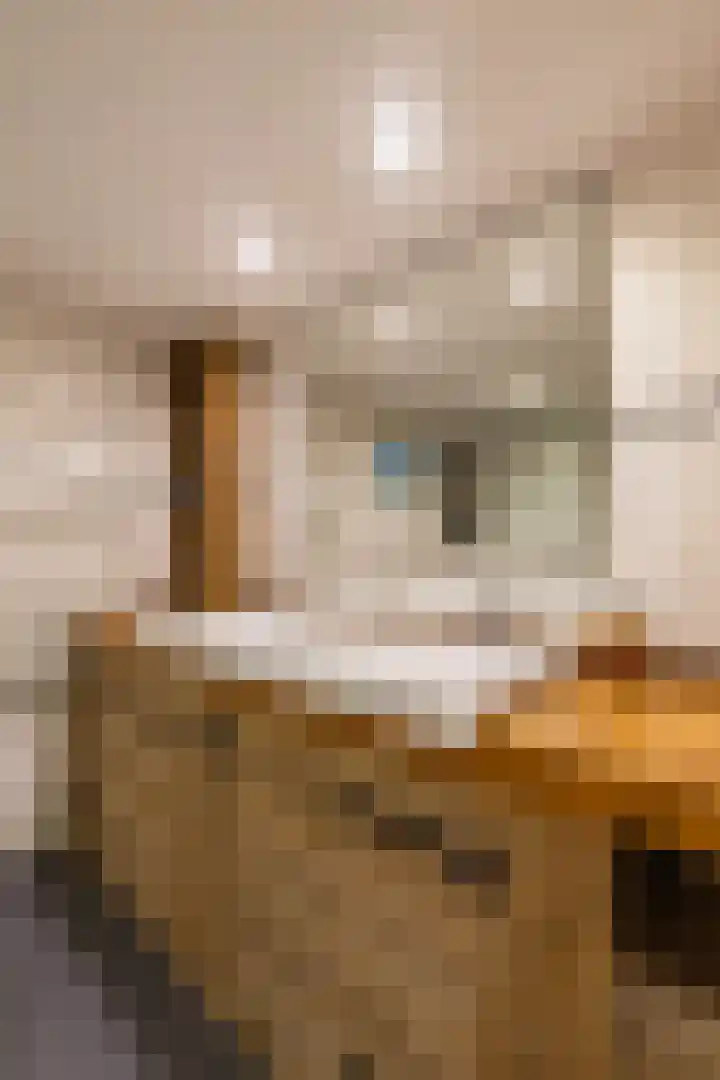 Hoofdstraat 104 Beetsterzwaag thumbnail 15