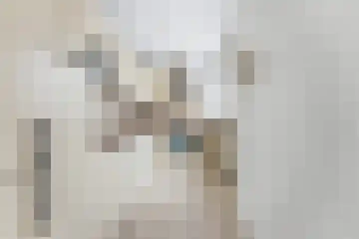 Hoofdstraat 104 Krimpen aan de Lek thumbnail 8