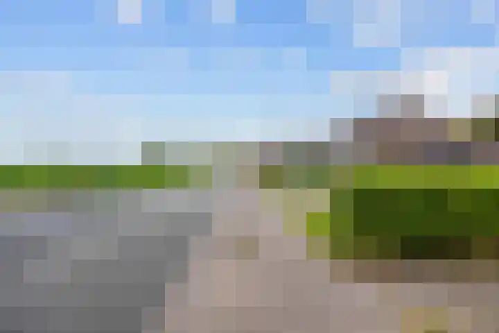 Hoofdstraat 104 Pieterburen thumbnail 6