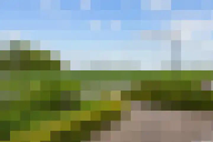 Hoofdstraat 104 Pieterburen thumbnail 7