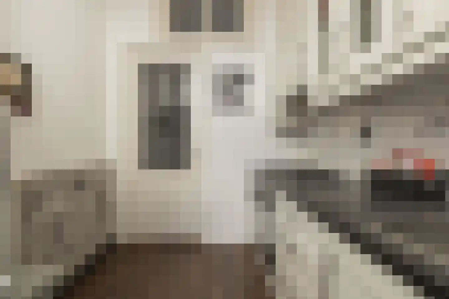 Hoofdstraat 105 Hillegom thumbnail 18