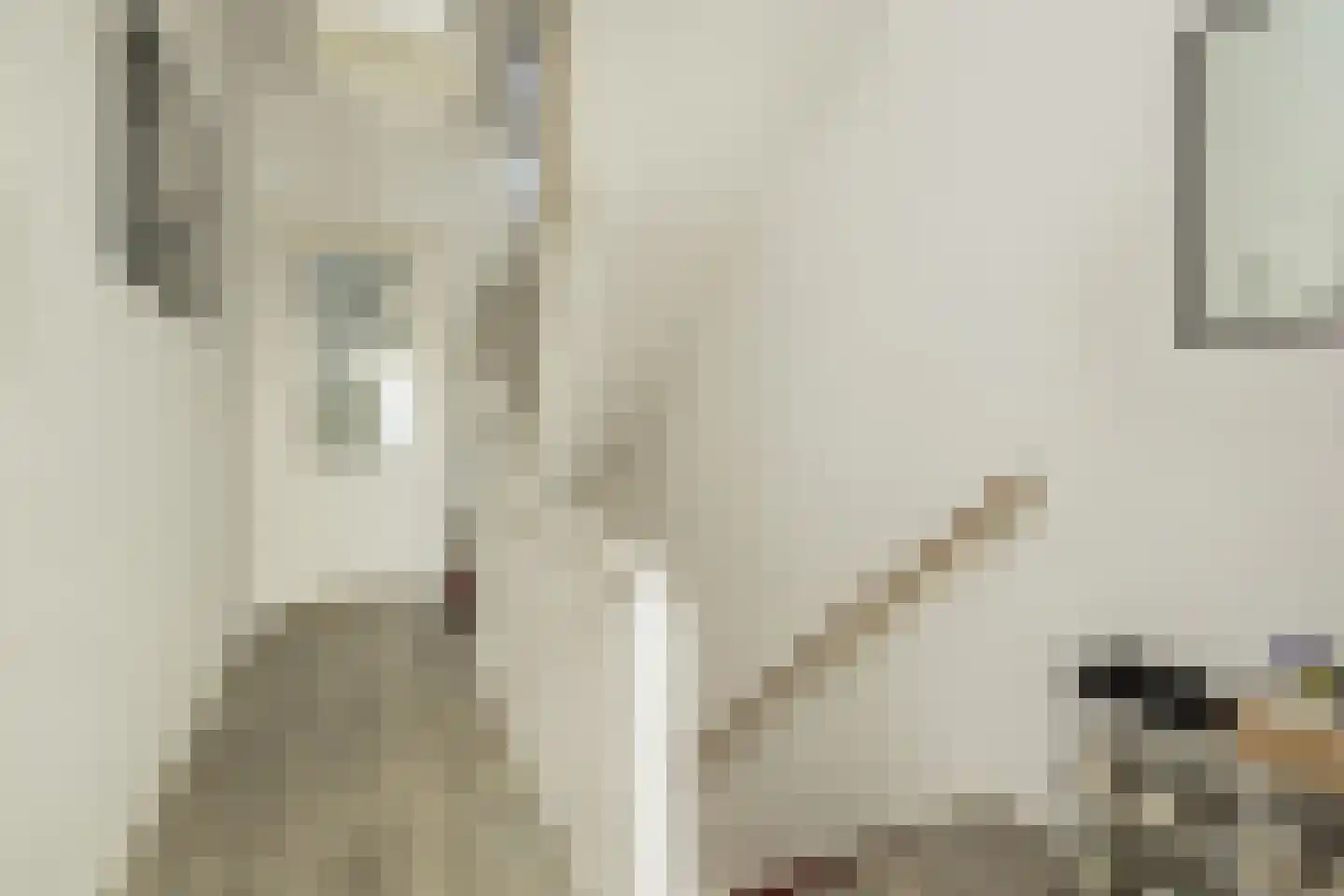 Hoofdstraat 105 Hillegom thumbnail 22
