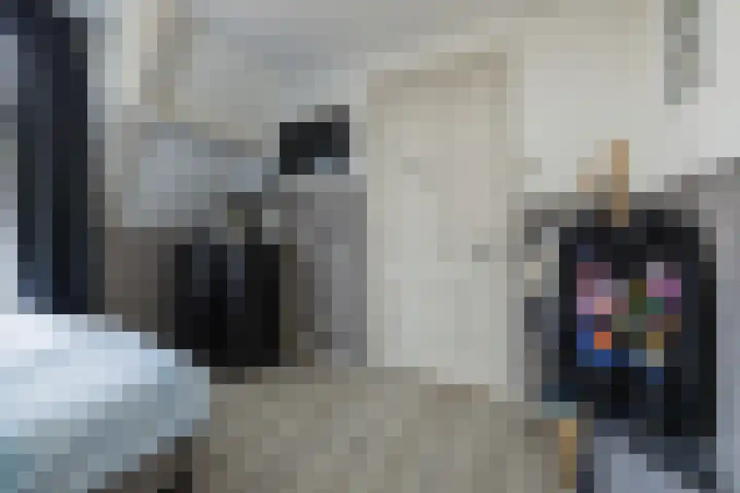 Hoofdstraat 105 Hillegom thumbnail 35