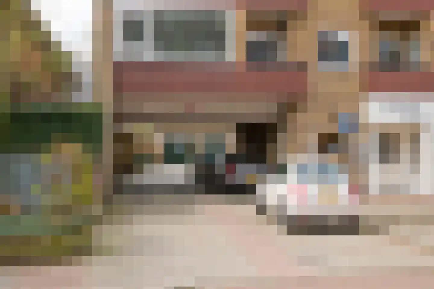 Hoofdstraat 105 Velp thumbnail 32