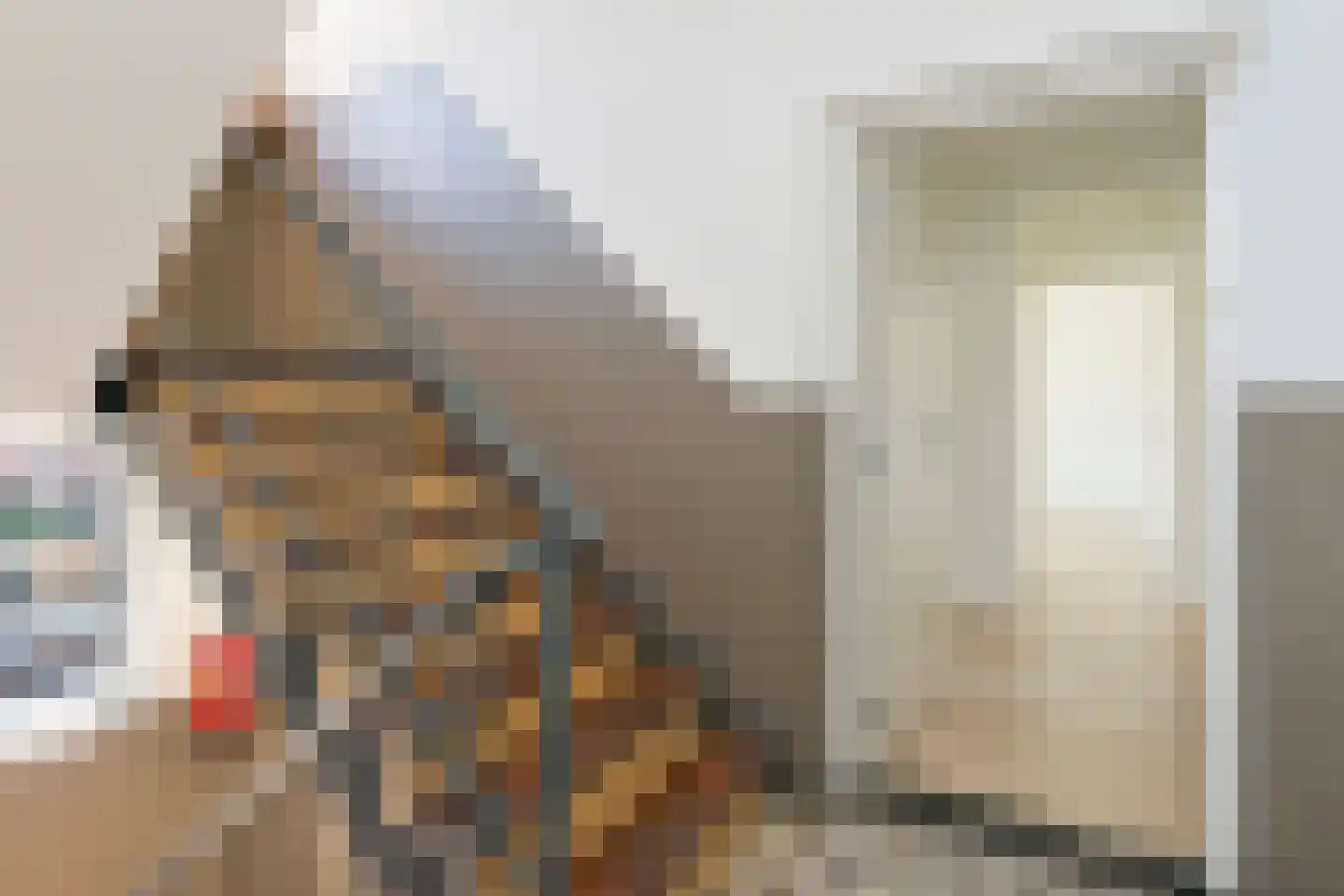 Hoofdstraat 105 Velp thumbnail 8