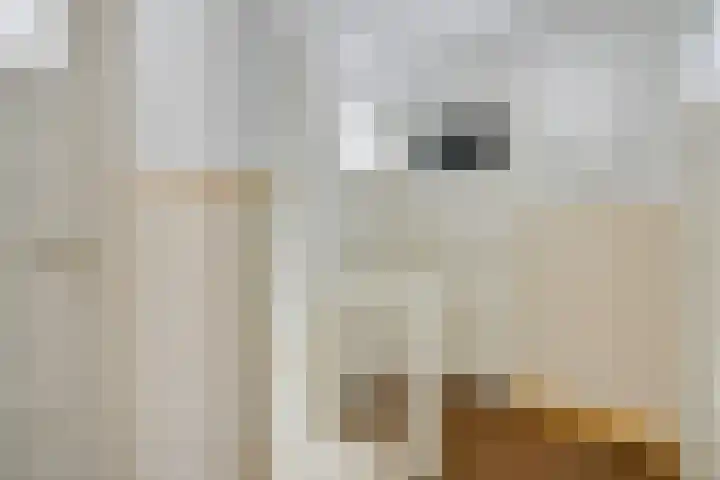 Hoofdstraat 106 Liessel thumbnail 21
