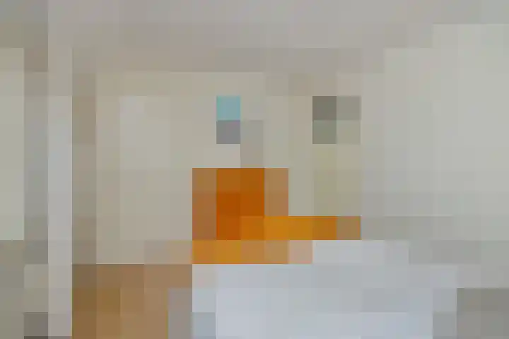 Hoofdstraat 106 Liessel thumbnail 23