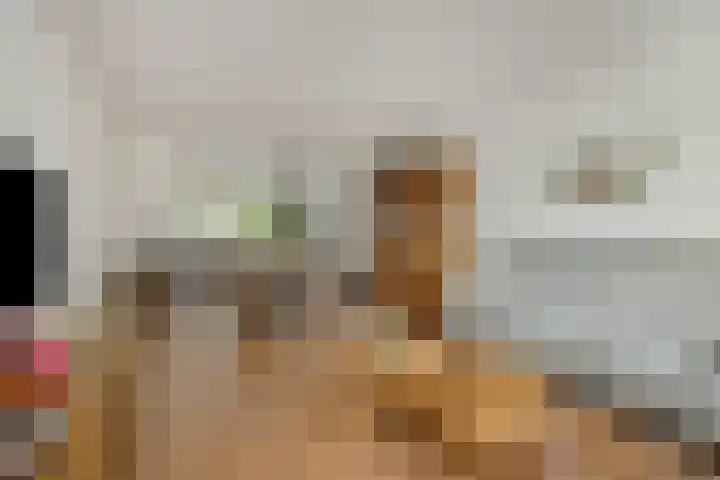 Hoofdstraat 106 Liessel thumbnail 7